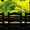 Shin Towada
